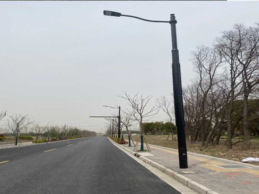 安福县上海综合杆 太阳能路灯工程